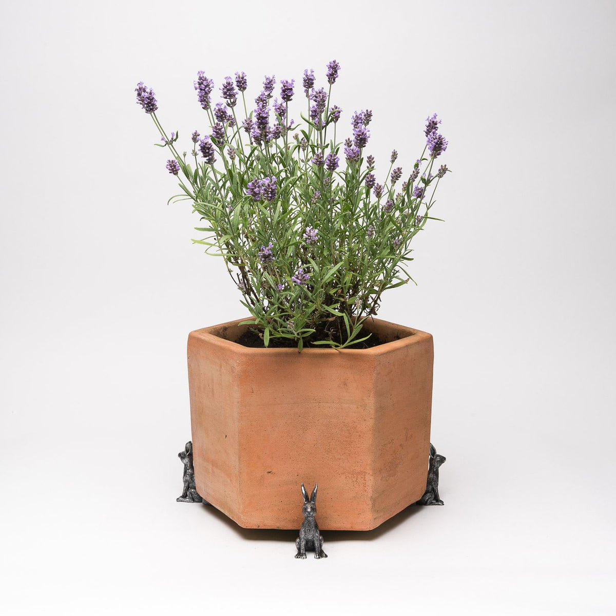 Wren On Tap Plant Pot Feet - Set of 3