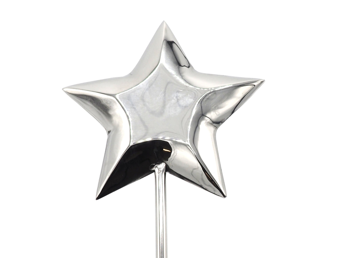 3D Star Plant Stake 50CM