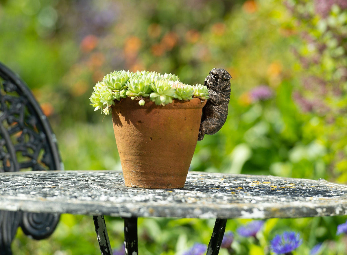 English Bulldog Plant Pot Hanger