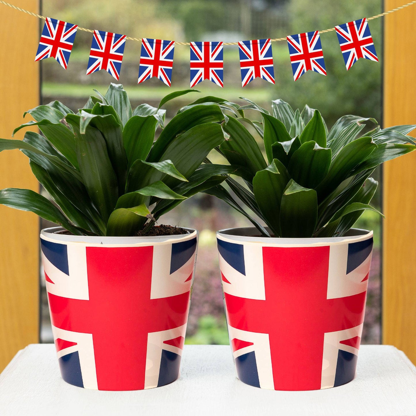 Eco-Pot Bamboo Flags Union Jack, Flag of the United Kingdom - Set of 3
