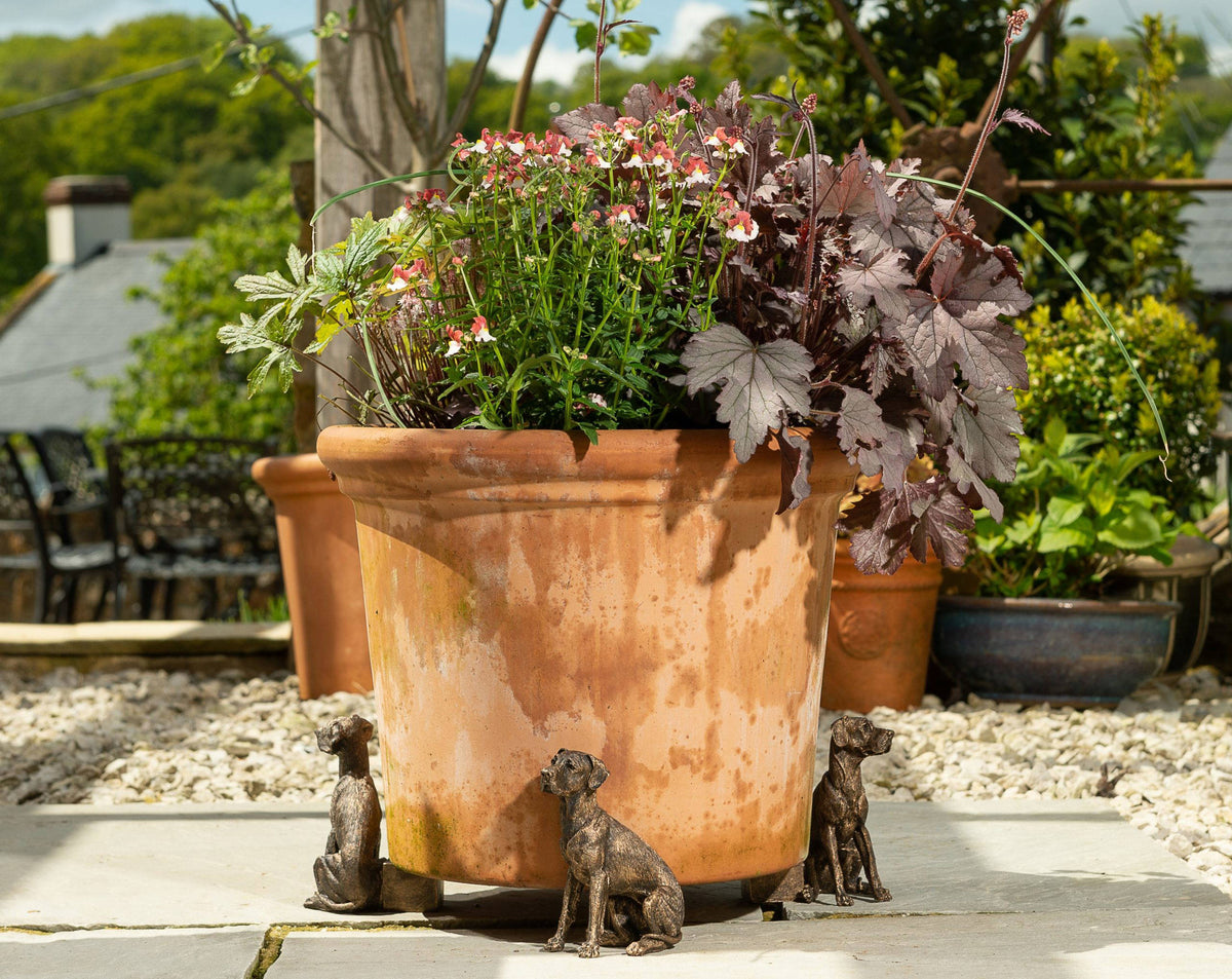 Great Dane Plant Pot Feet - Set of 3