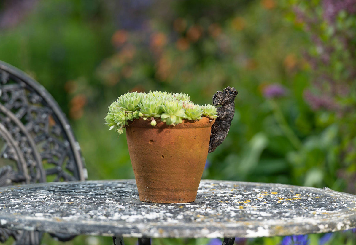 Antique Bronze Coloured Schnauzer Pot Buddy Plant Pot Hanger