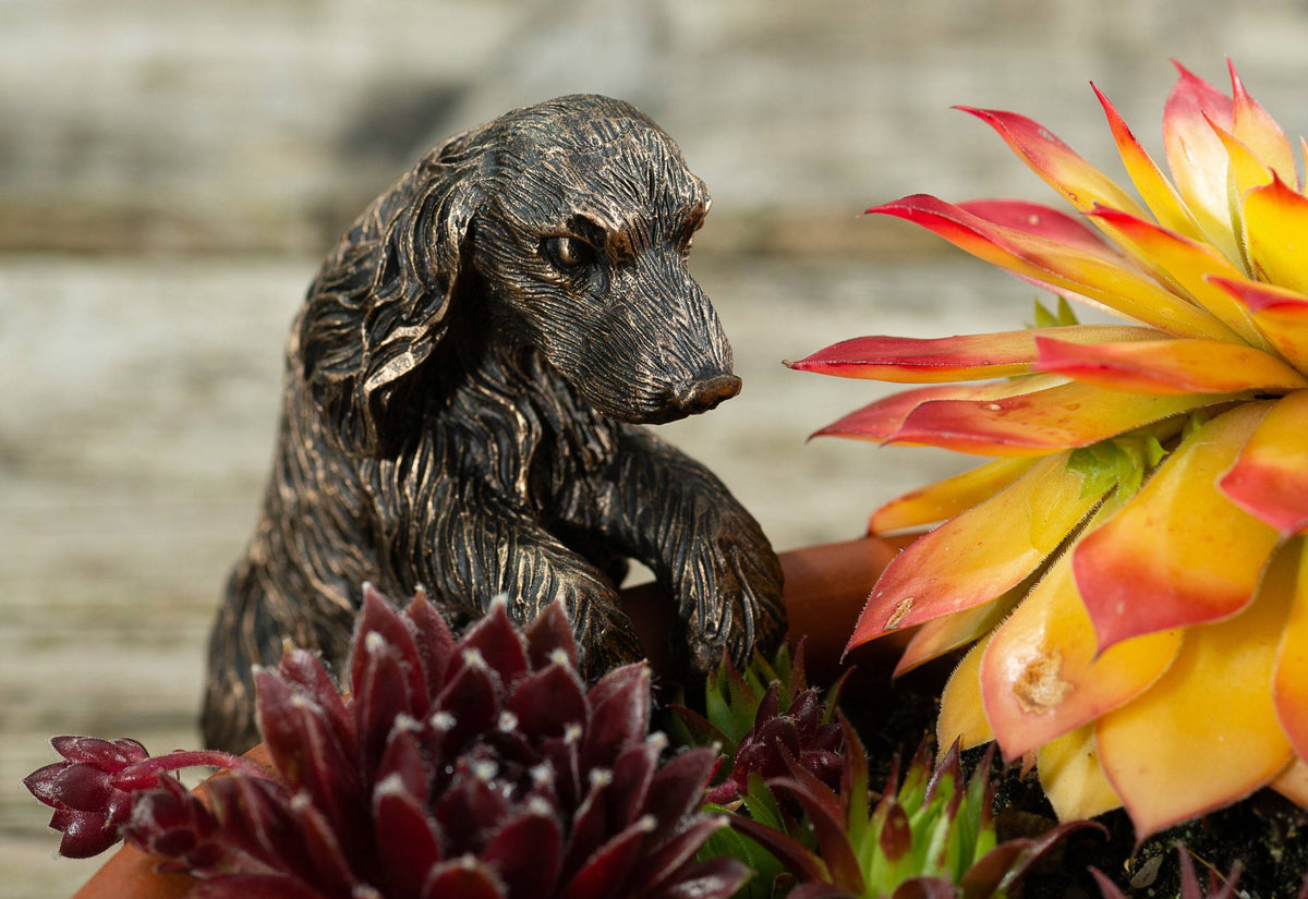 Cocker Spaniel Plant Pot Hanger