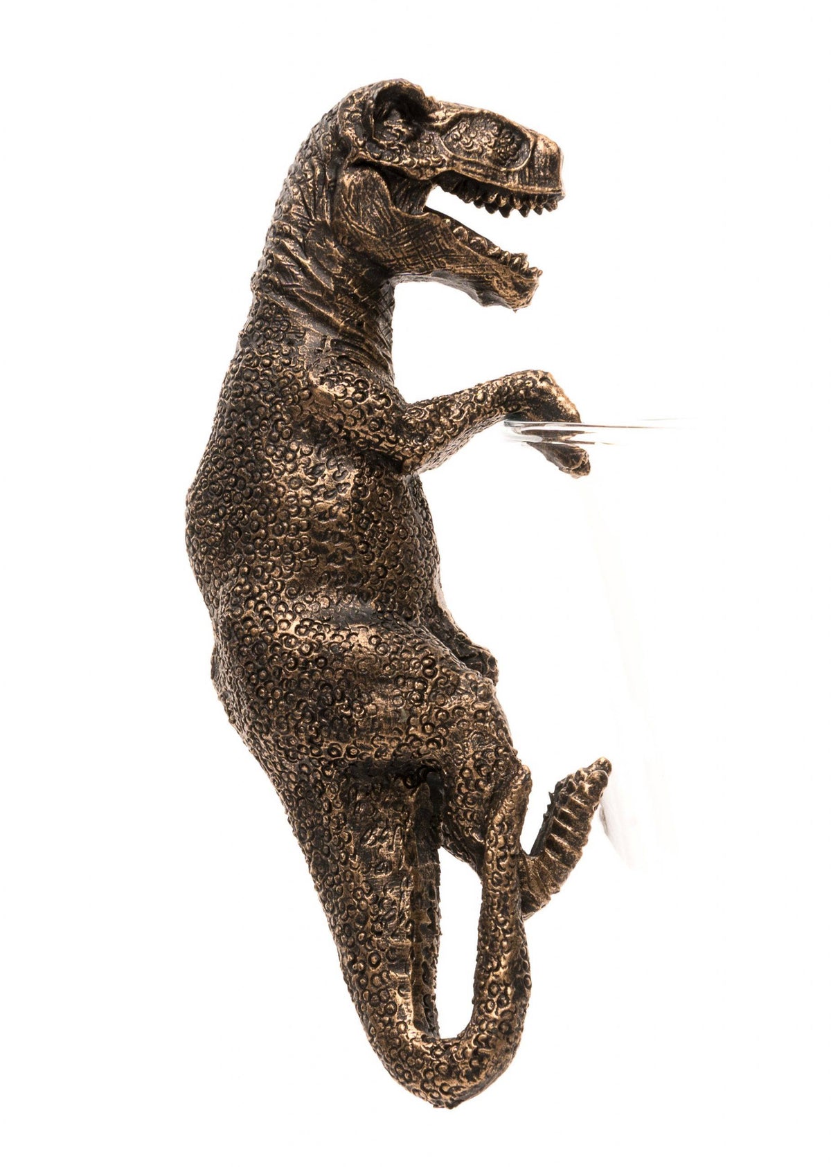 Tyranasaurus Rex Plant Pot Hanger