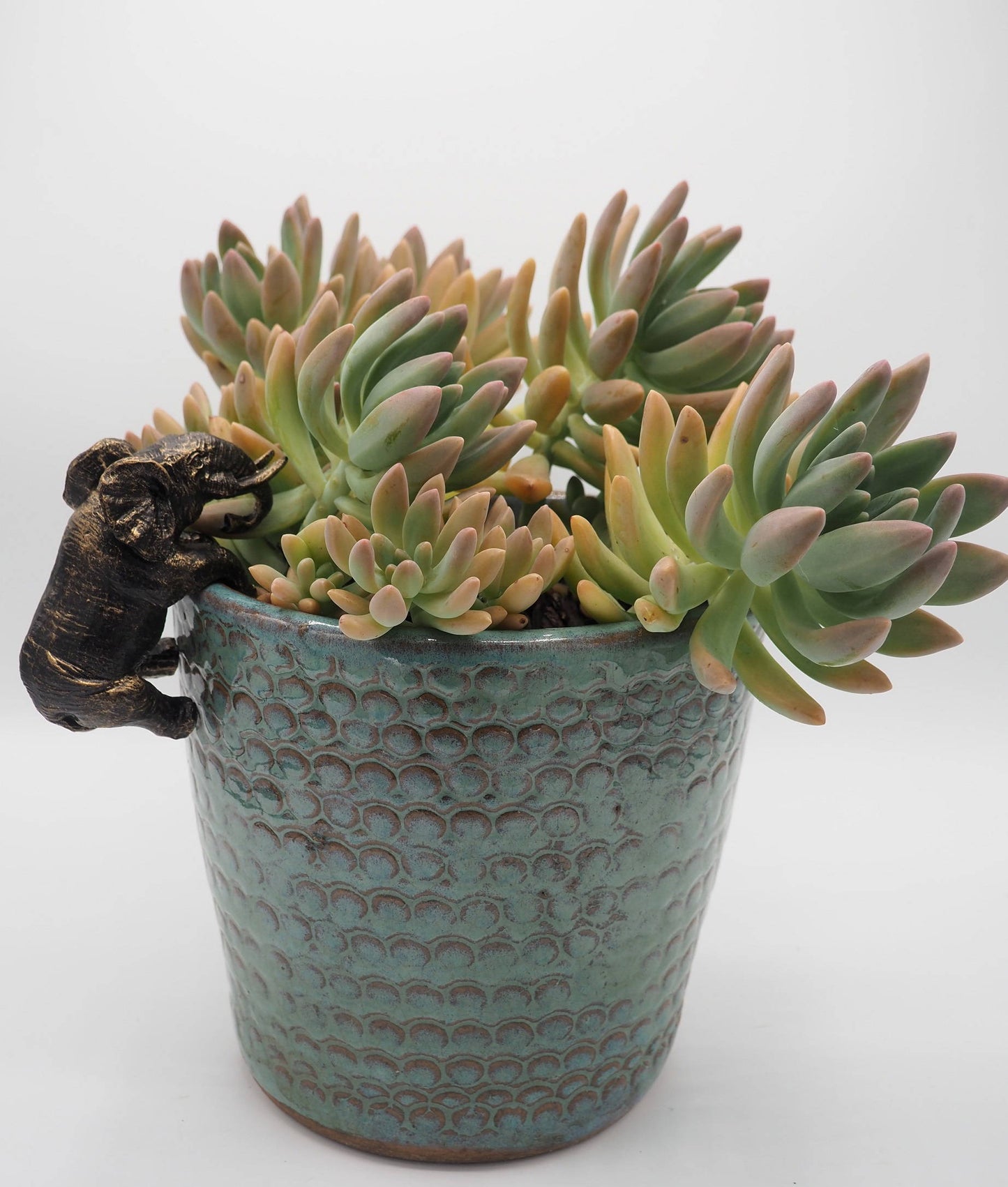 Elephant Pot Buddies Plant Pot Hanger