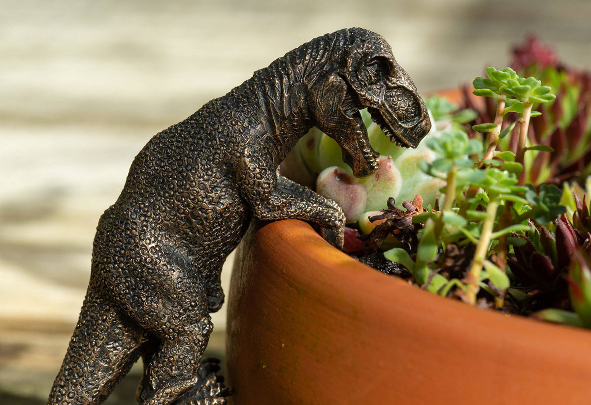 Trex, Stegosaurus, Brachiosaurus Set of Three Pot Buddies Plant Pot Hangers