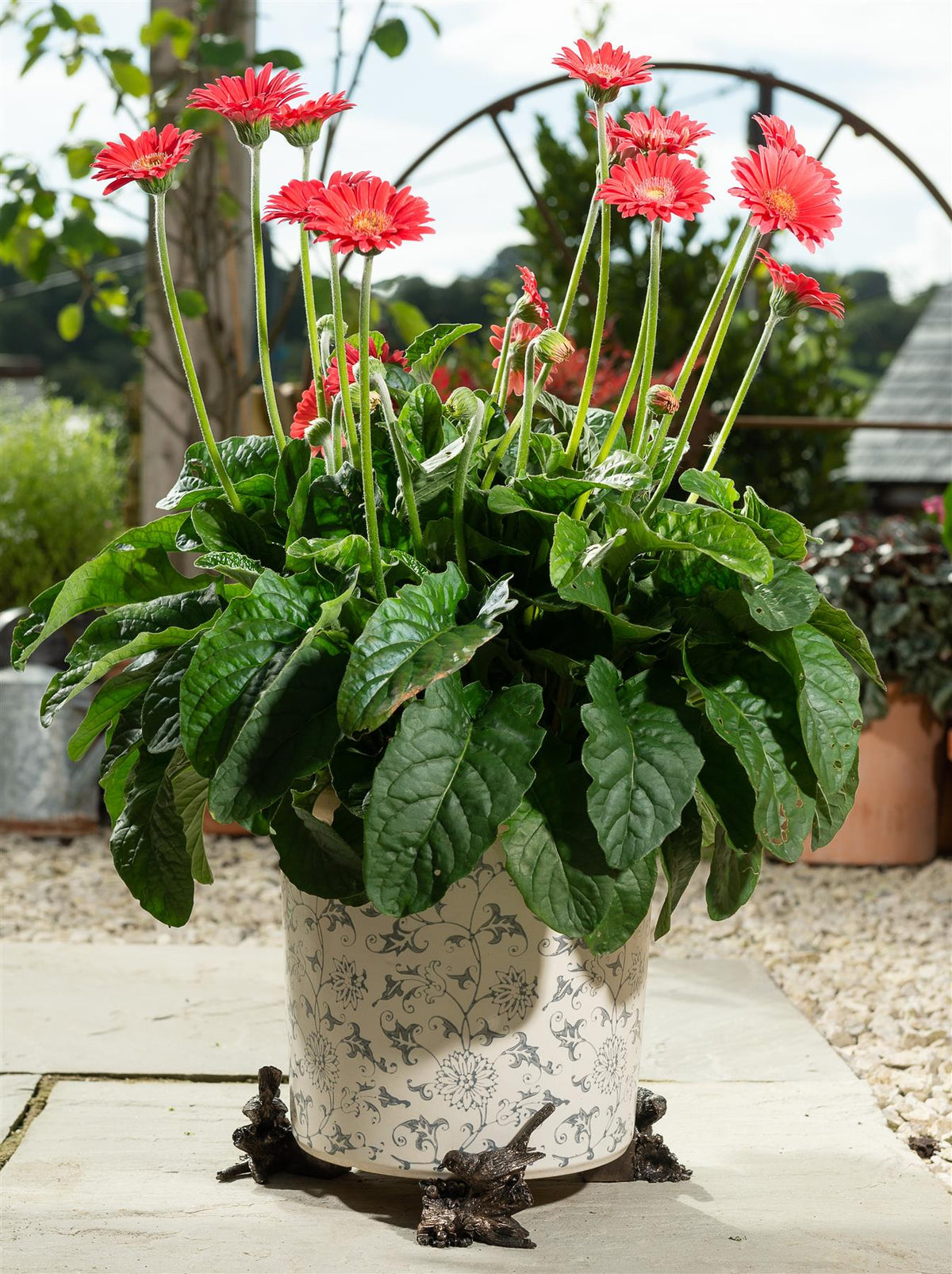 Robin Plant Pot Feet - Set of 3