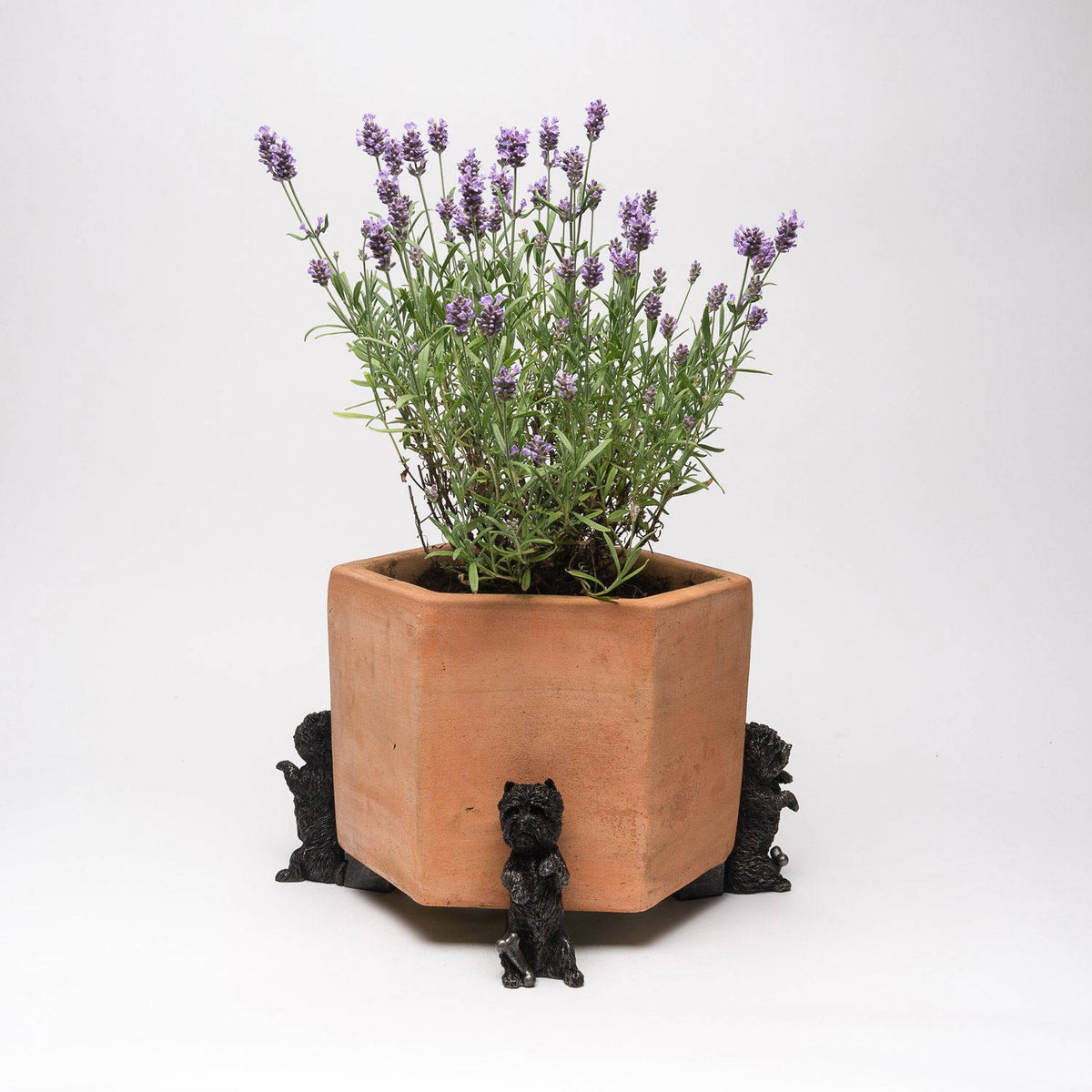 West Highland Terrier Plant Pot Feet - Set of 3