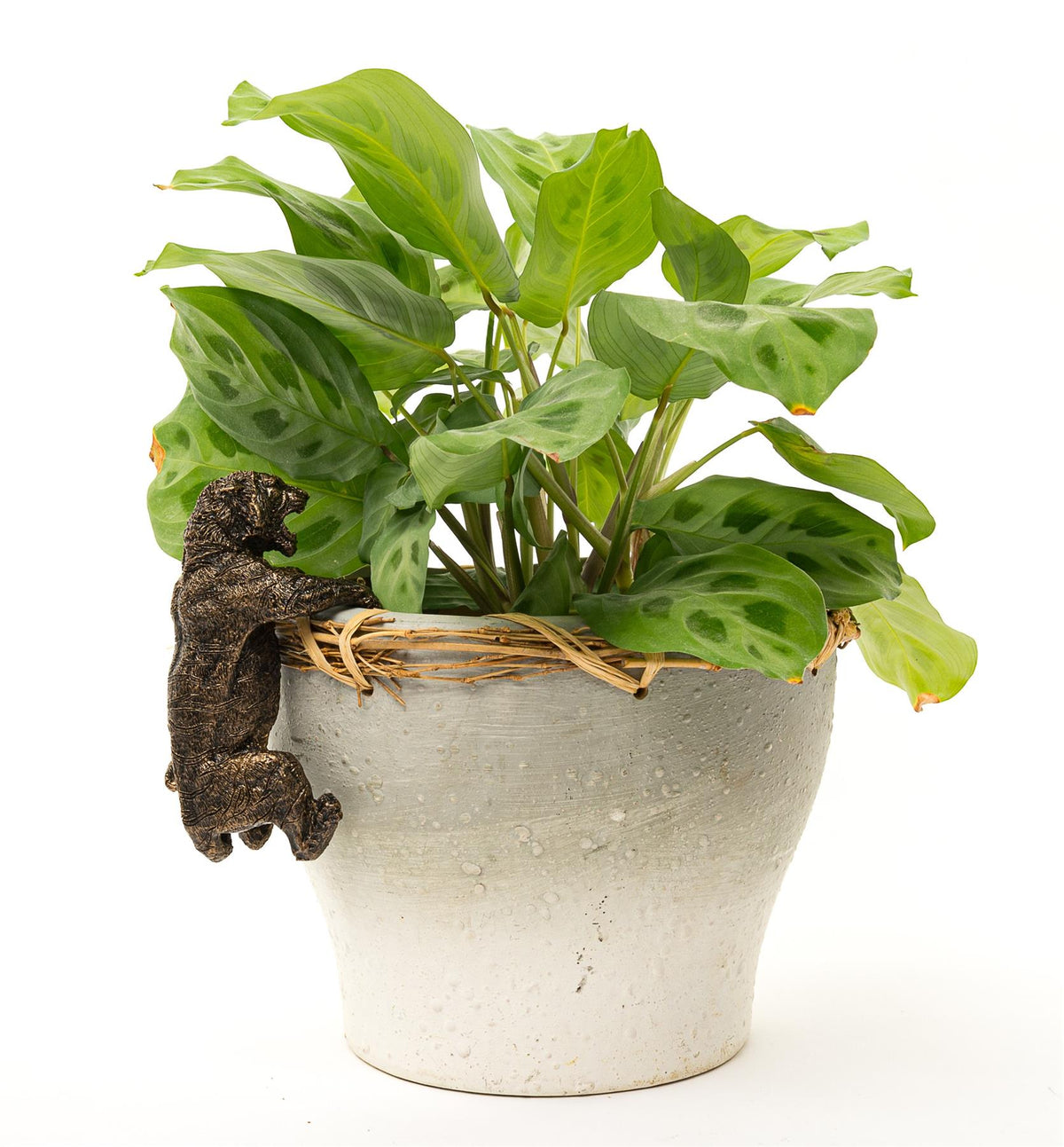 Tiger Plant Pot Hanger