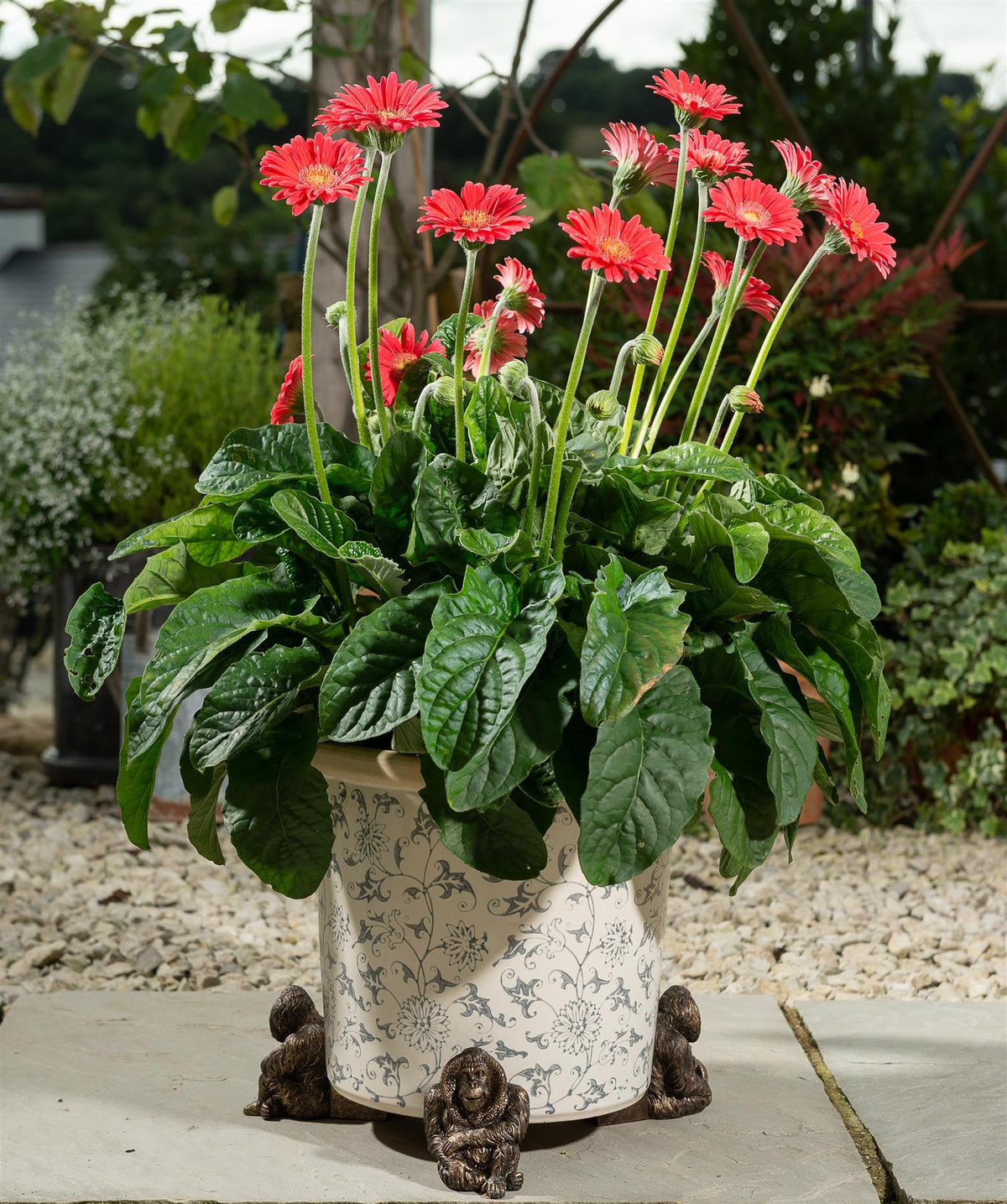 Orangutan Plant Pot Feet - Set of 3