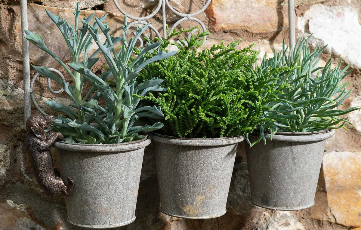 Dachshund Plant Pot Hanger