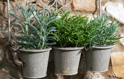 Dachshund Plant Pot Hanger