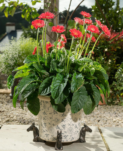 Horse Plant Pot Feet - Set of 3