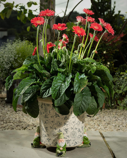 Sleeping Gnome Plant Pot Feet - Set of 3