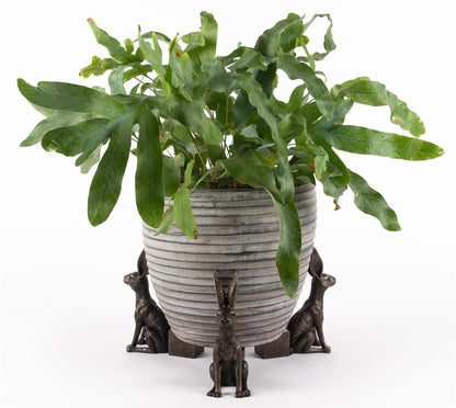 Large Sitting Hare Plant Pot Feet - Set of 3