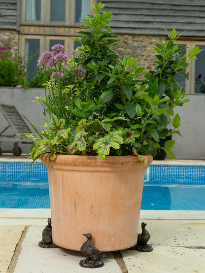 Aylesbury Duck Plant Pot Feet - Set of 3