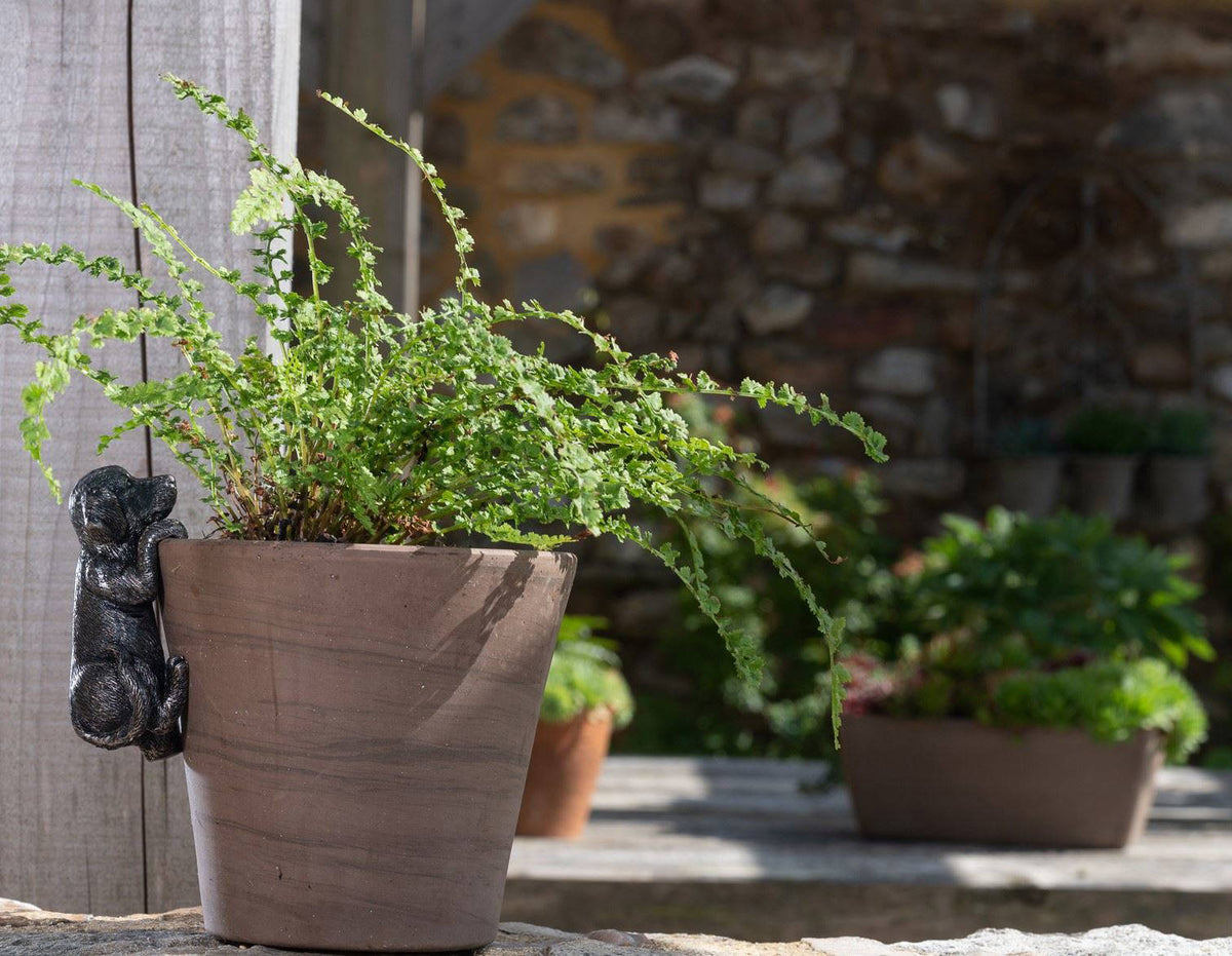 Labrador Plant Pot Hanger