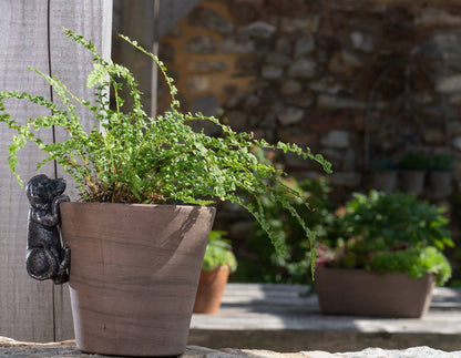 Labrador Plant Pot Hanger