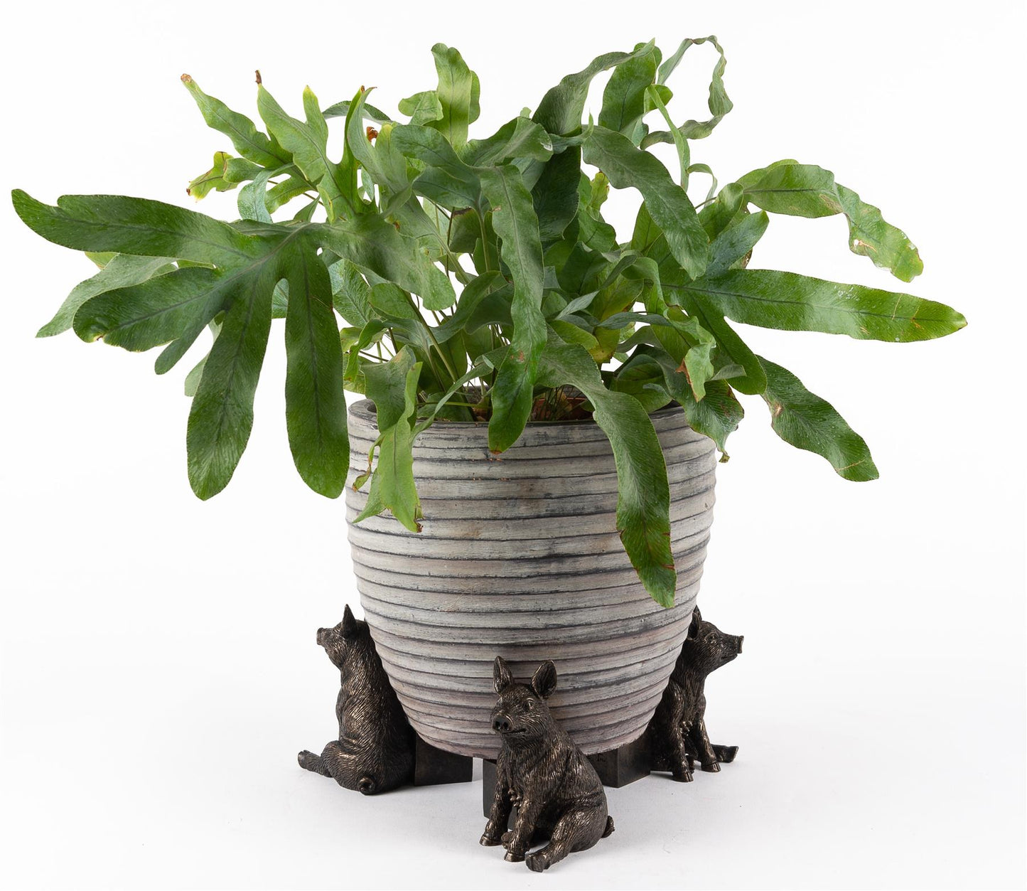 Chicken Plant Pot Feet - Set of 3