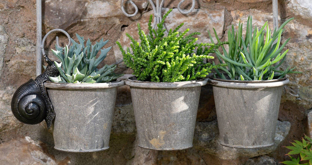 Snail Plant Pot Hanger