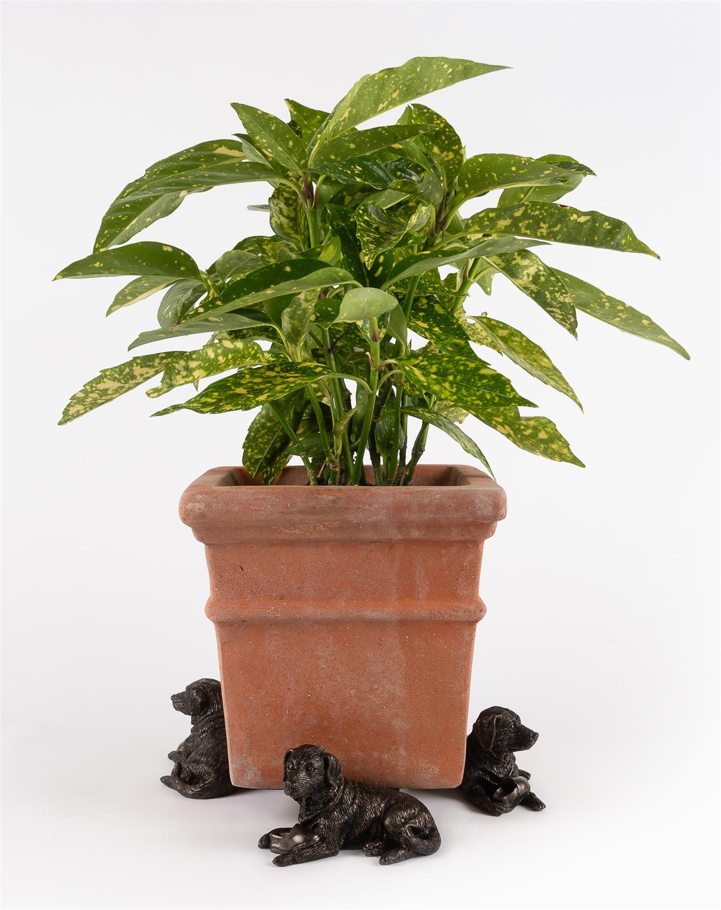 Resting Labrador Plant Pot Feet - Set of 3