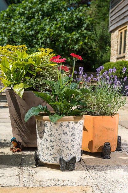 Butterfly Plant Pot Feet - Set of 3