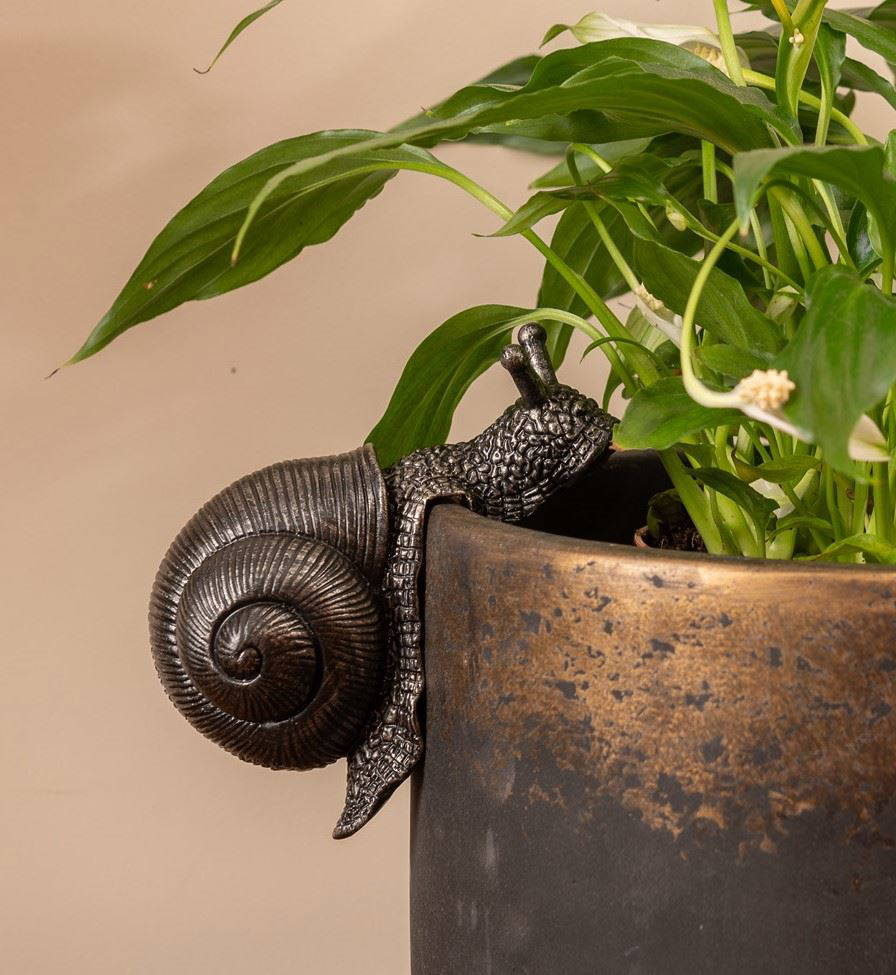 Snail Plant Pot Hanger