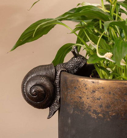 Snail Plant Pot Hanger