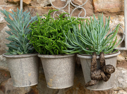 Three Toed Sloth Plant Pot Hanger