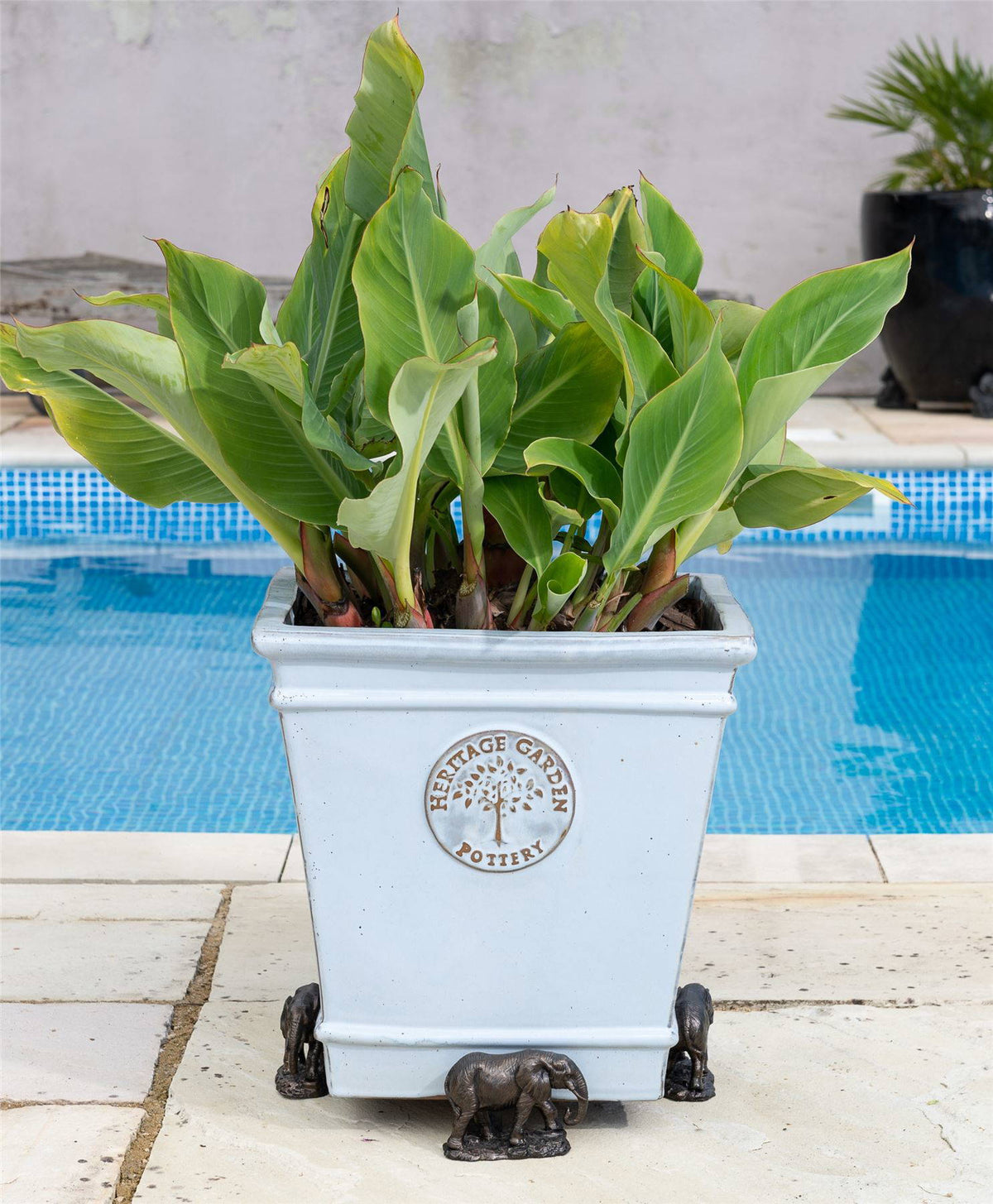 Elephant Plant Pot Feet - Set of 3