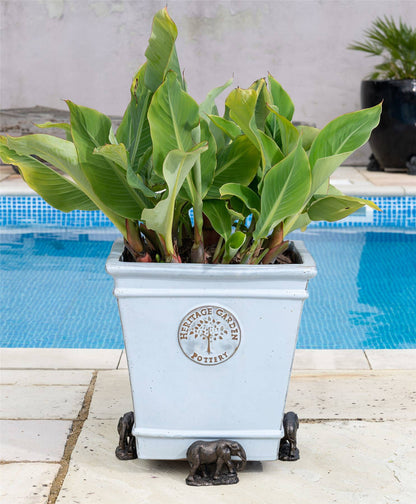 Elephant Plant Pot Feet - Set of 3