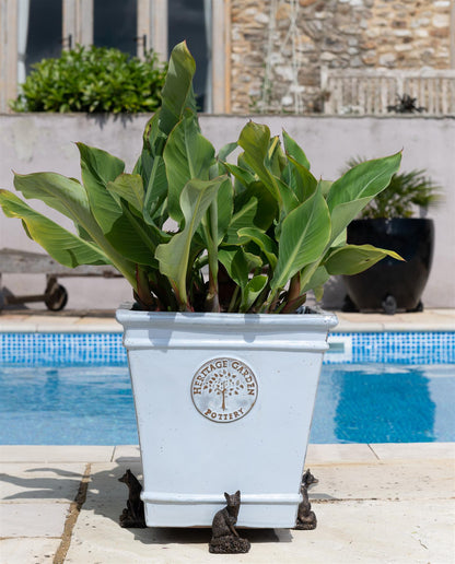 Fox Plant Pot Feet - Set of 3