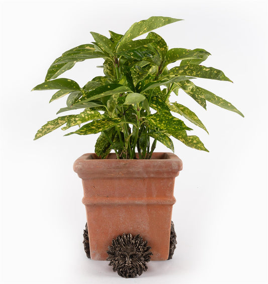 Green Man Plant Pot Feet - Set of 3