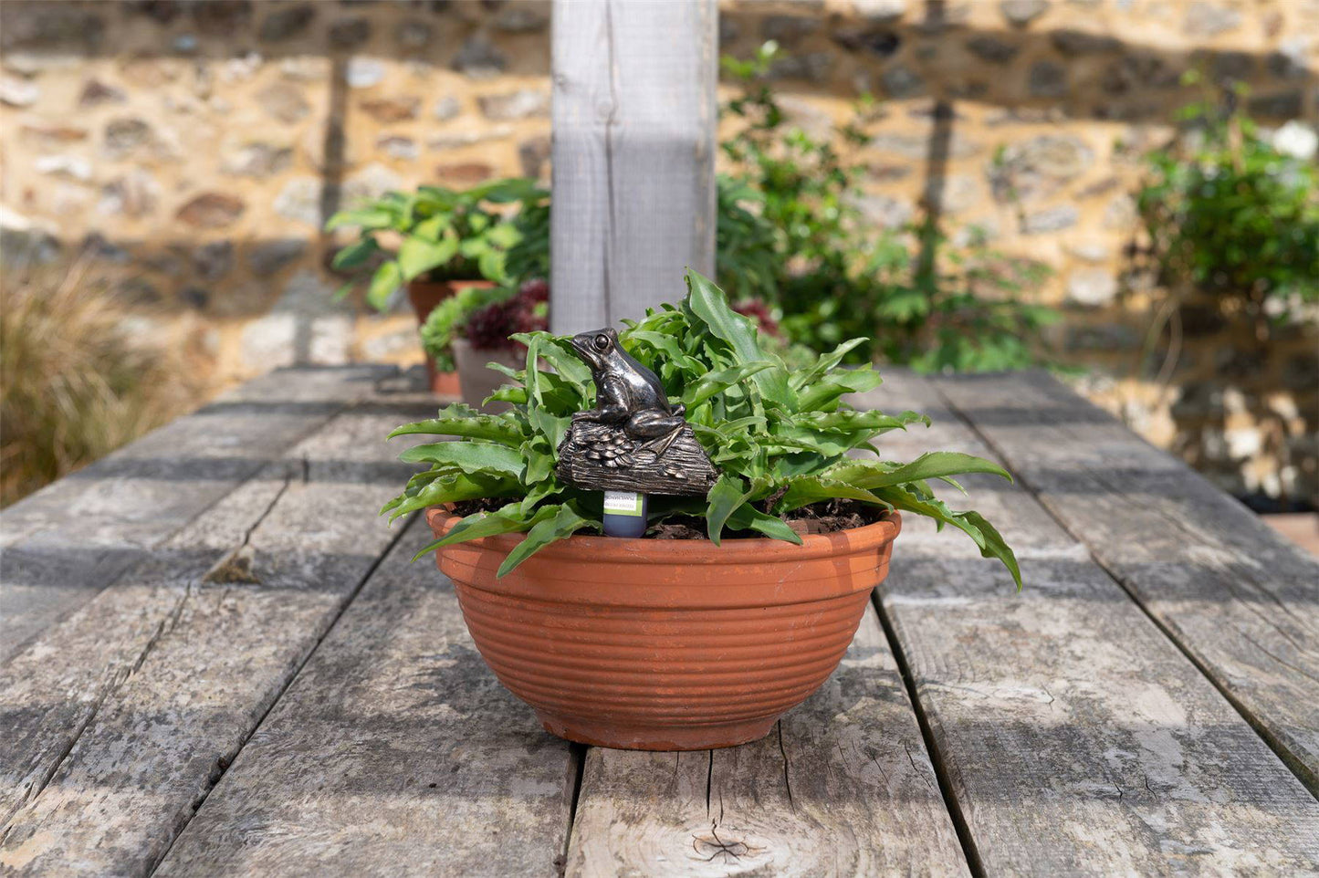 Frog On A Log Plant Drip Feeder Cover & Feed