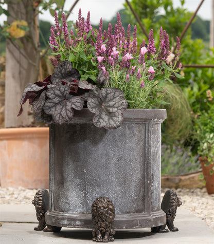 Lion Plant Pot Feet - Set of 3