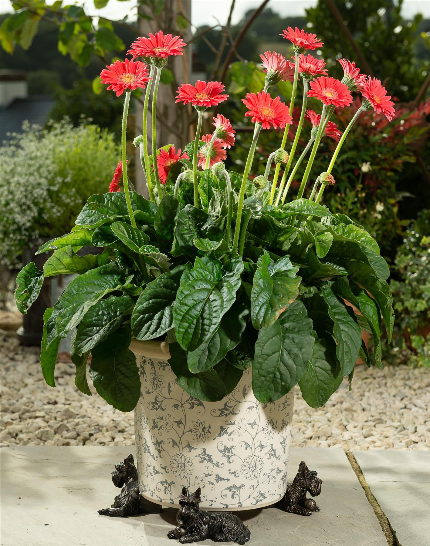 Scottish Terrier Plant Pot Feet - Set of 3
