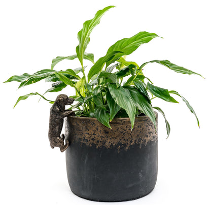 Dachshund Plant Pot Hanger
