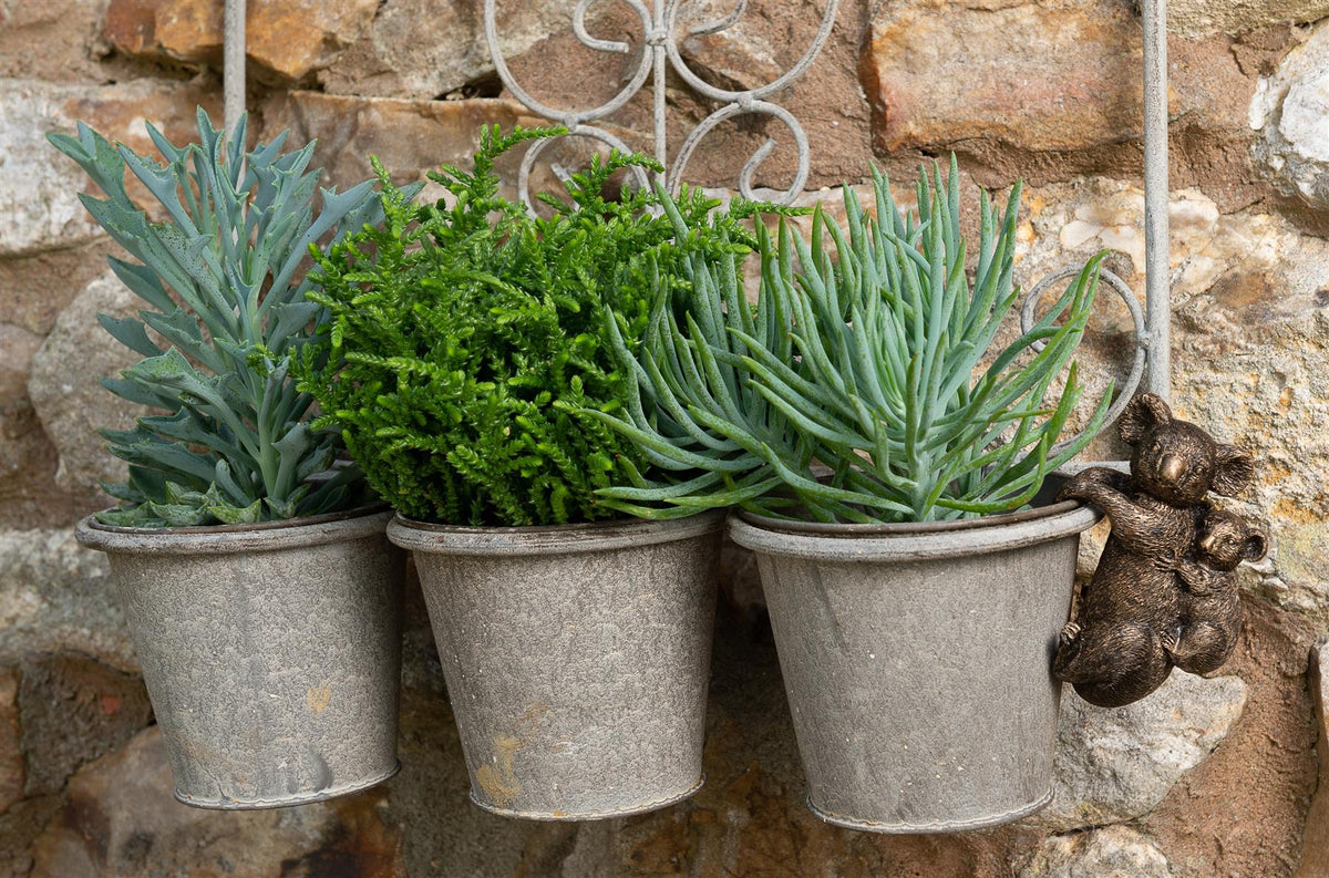 Koala and Cub Plant Pot Hanger