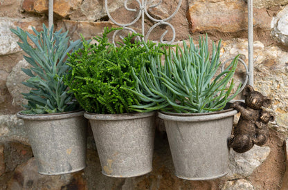 Koala and Cub Plant Pot Hanger
