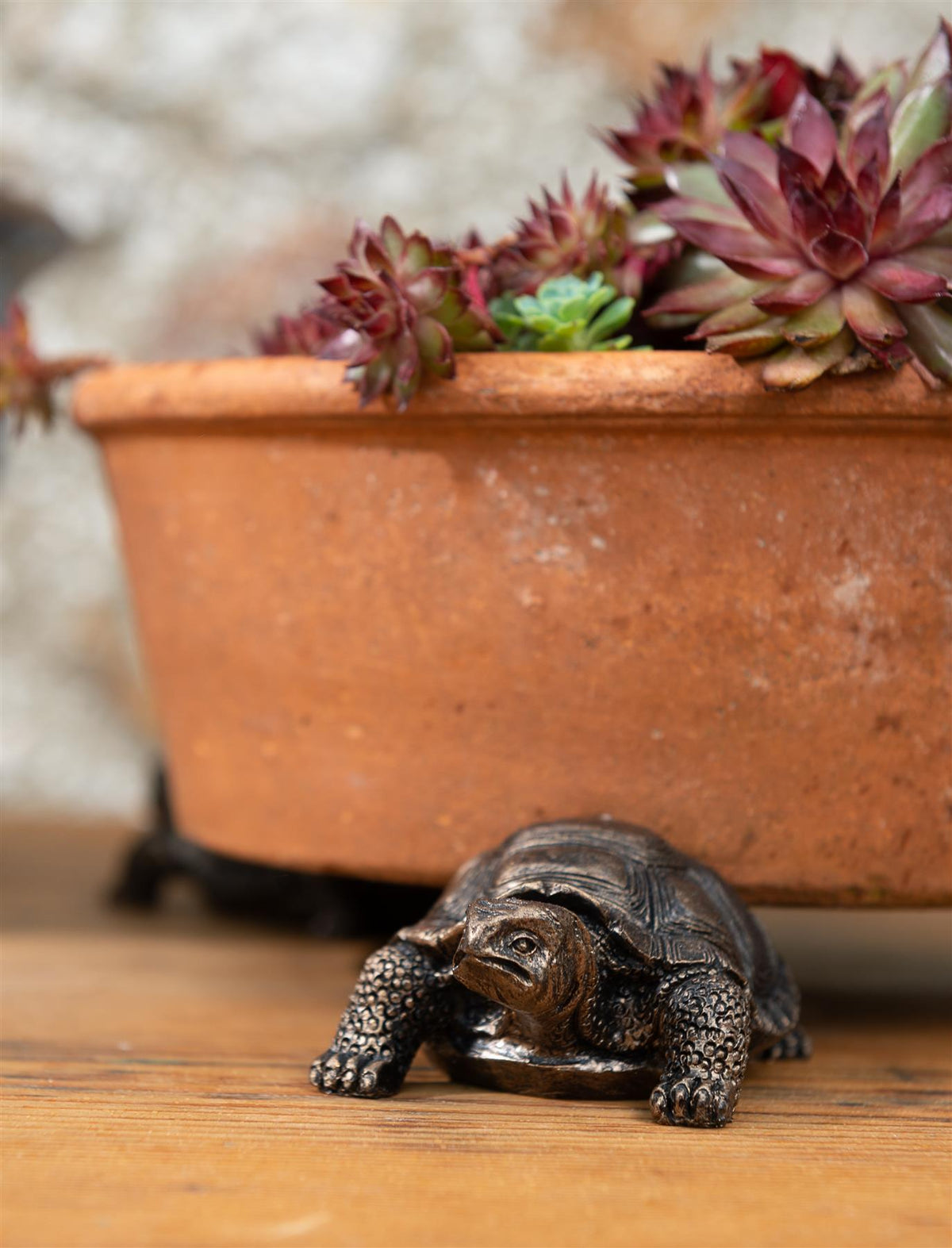 Tortoise Plant Pot Feet - Set of 3