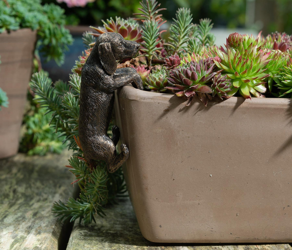 Dachshund Plant Pot Hanger