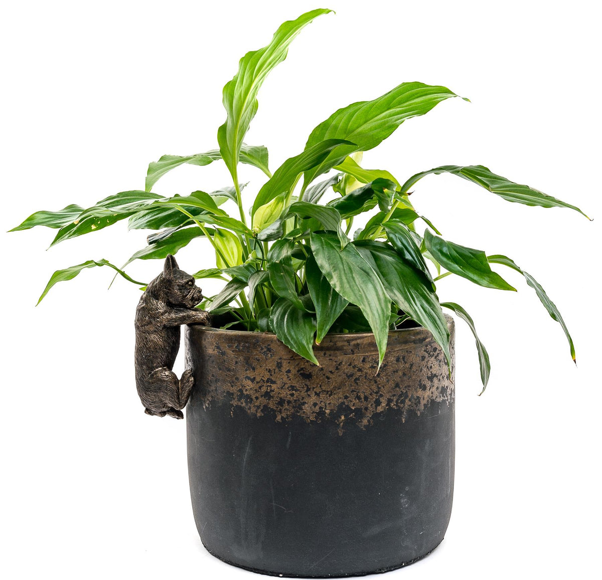 French Bulldog Plant Pot Buddy