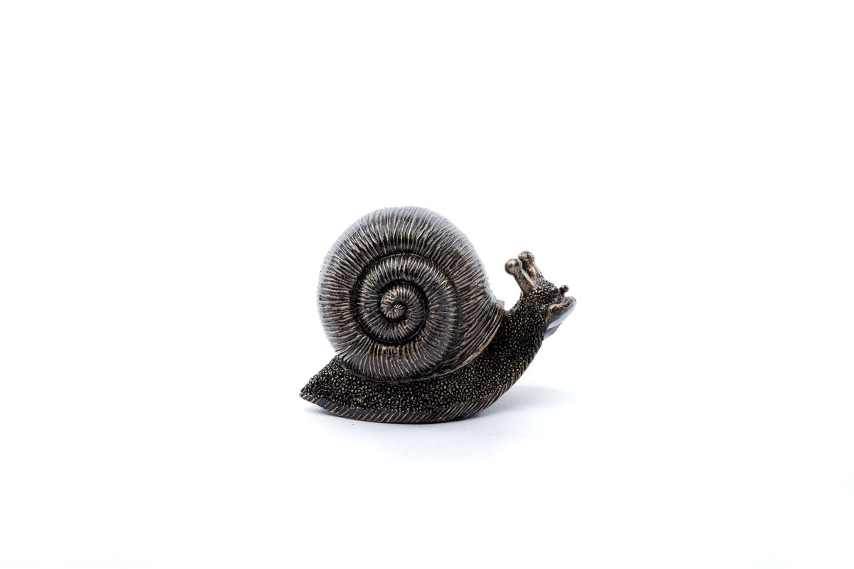 Snail Plant Drip Feeder Cover & Feed