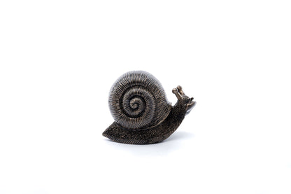 Snail Plant Drip Feeder Cover & Feed