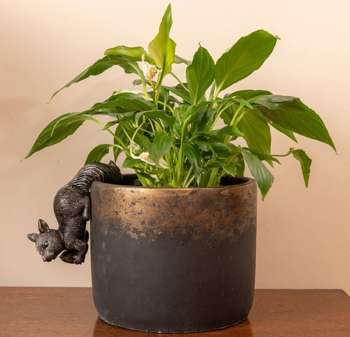 Red Squirrel Plant Pot Hanger