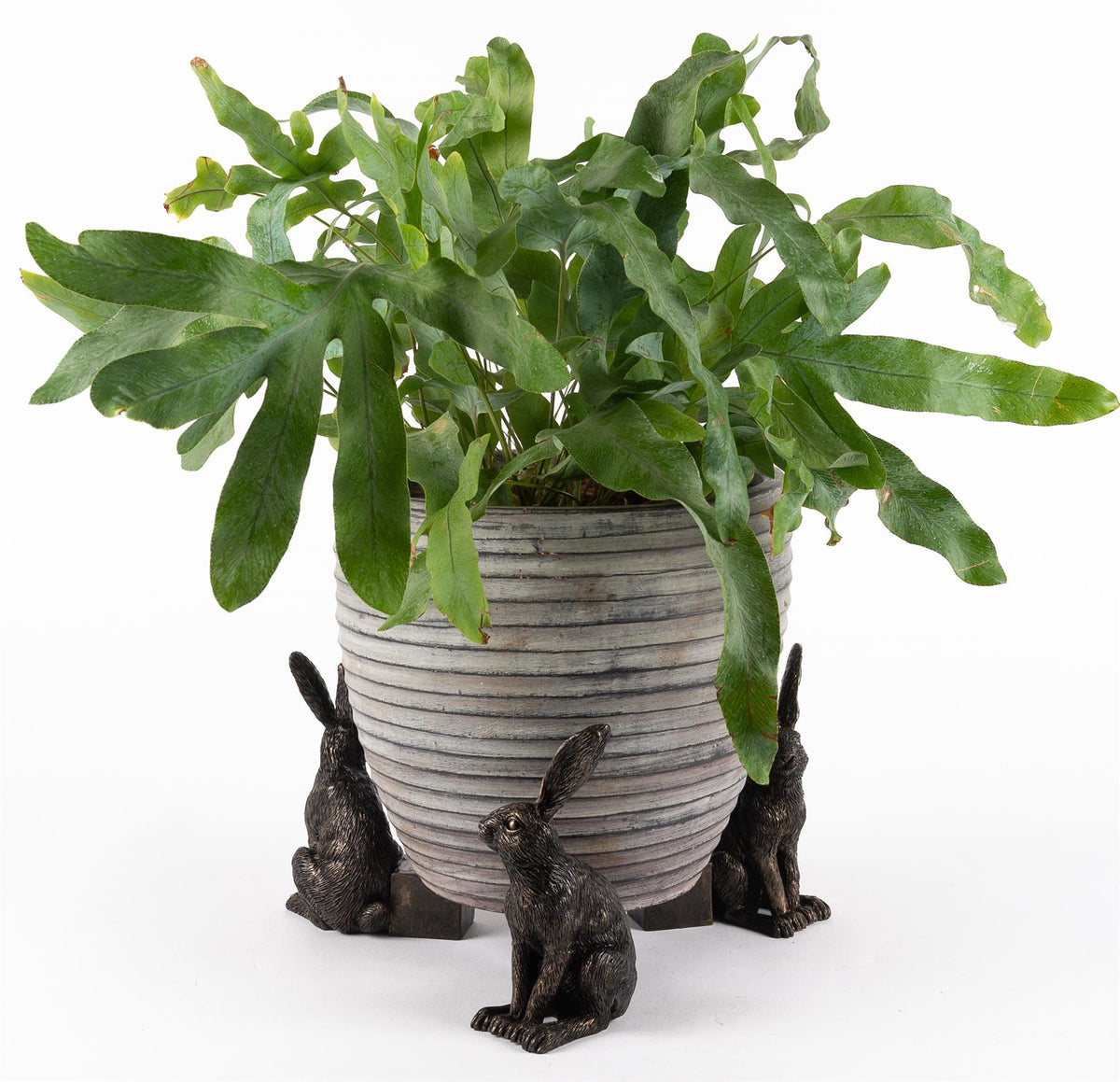 Vigilant Hare Plant Pot Feet - Set of 3