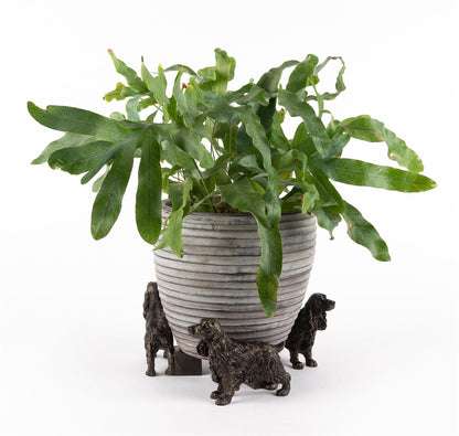 Cocker Spaniel Plant Pot Feet - Set of 3