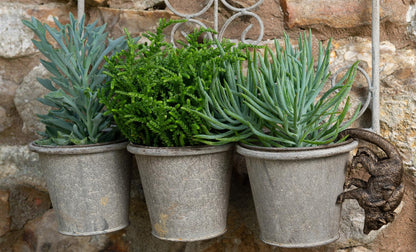 Lemur and Pup Plant Pot Hanger