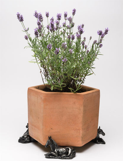 Horse Laying Plant Pot Feet - Set of 3