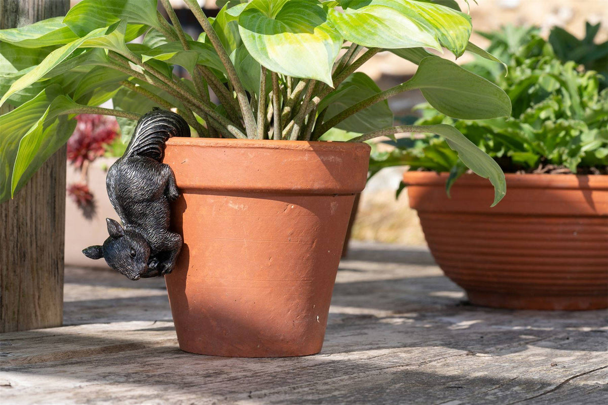 Red Squirrel Plant Pot Hanger
